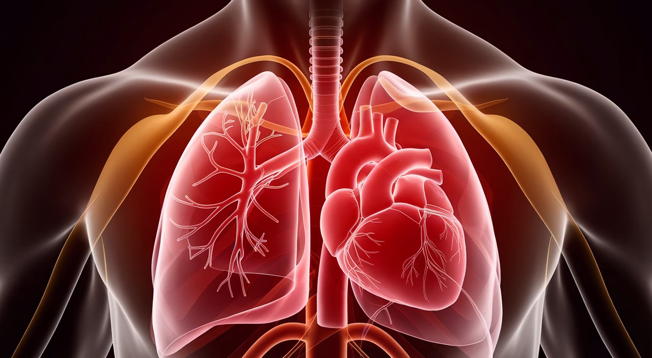 Understanding lung and heart causes Chest tightness from heart and lung problems
