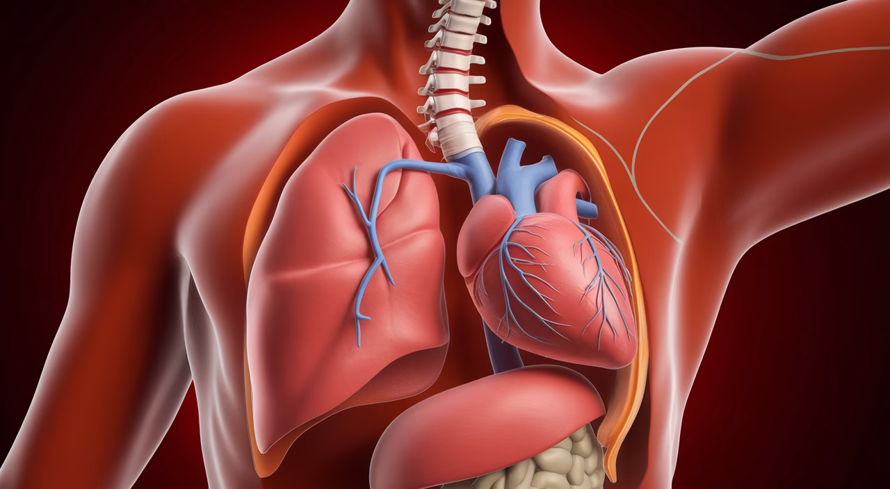 Scoliosis impact on thoracic organs scoliosis effects on internal organs