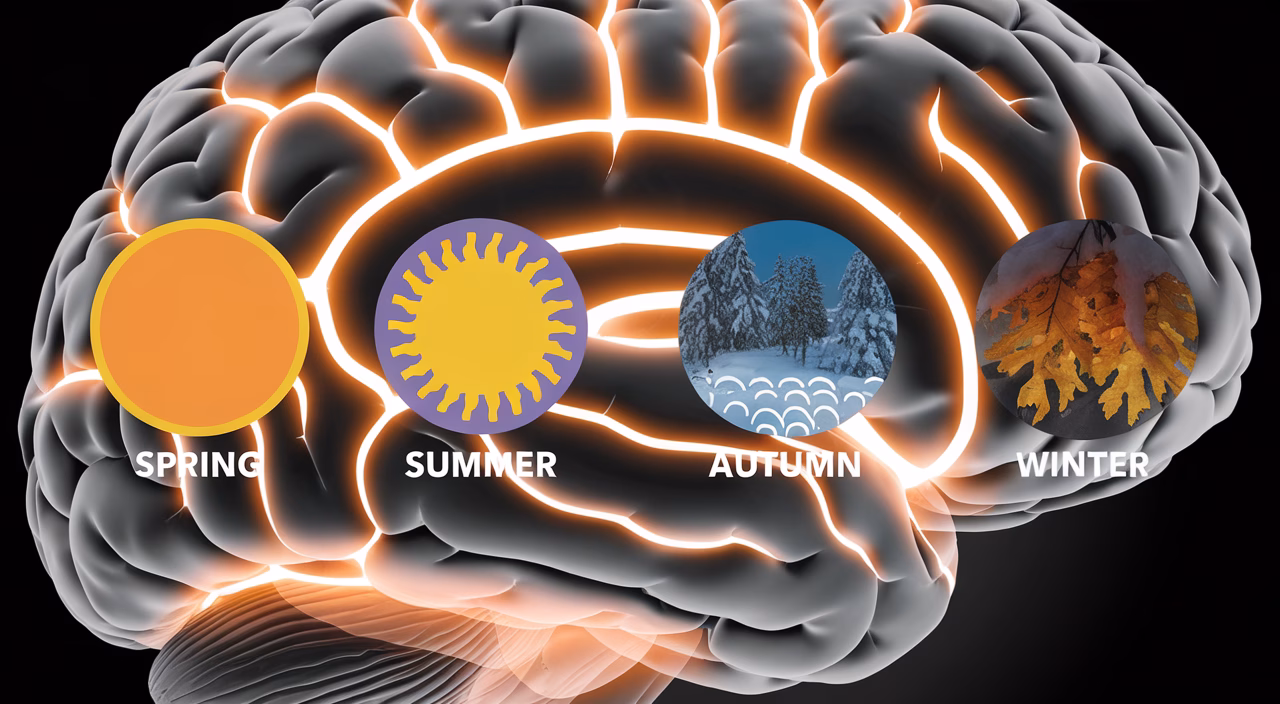 Mood and brain response to changing seasons Human brain and emotions influenced by seasons