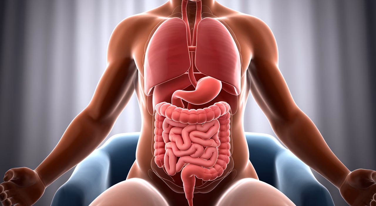 Posture affecting digestion Poor posture and digestion